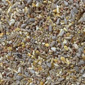Wild bird seed robin and song bird mix